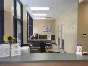 Veterinary Services in Apopka FL - Pet Xpert Animal Clinic