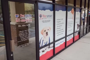 Veterinarian in Apopka