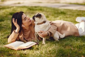 Dental Disease in Pets