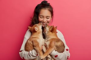 Diabetes in Pets